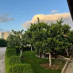 Kaceli 4*