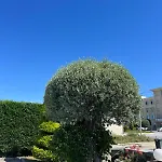 Kaceli Szálloda Berat