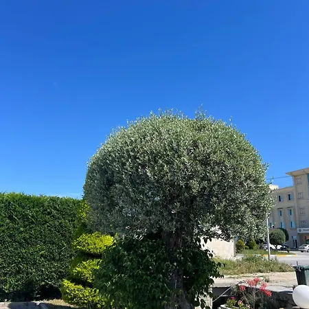 Kaceli מלון בראט