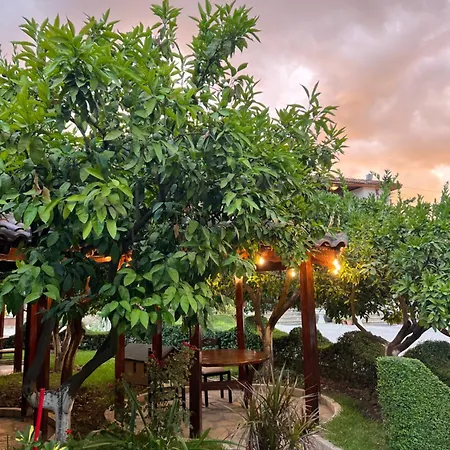 Kaceli מלון בראט