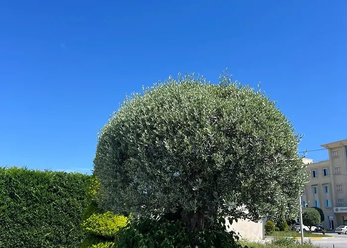 Kaceli Szálloda Berat